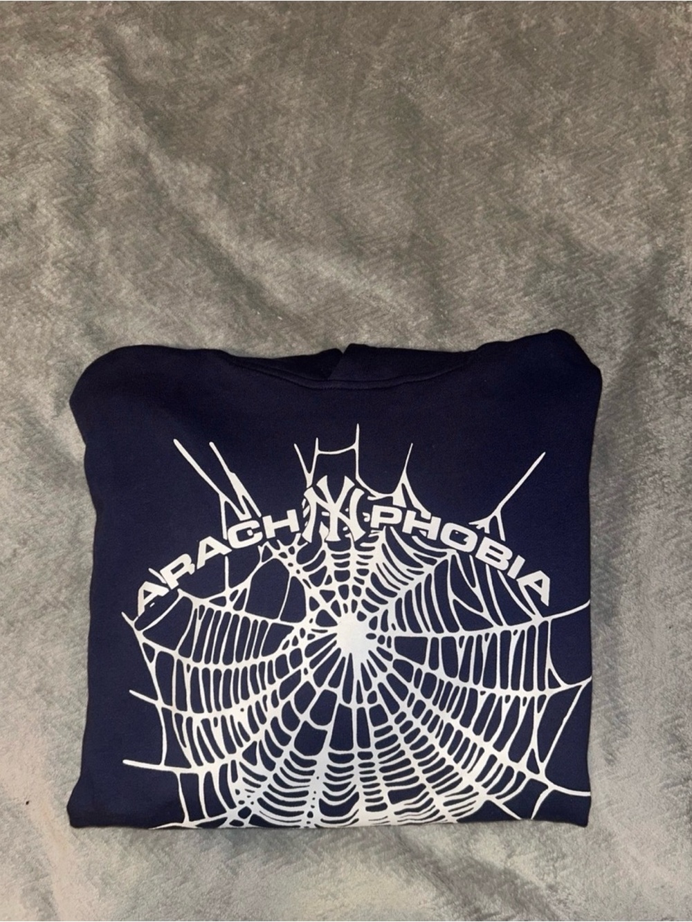 Navy Spider Web Graphic Hoodie